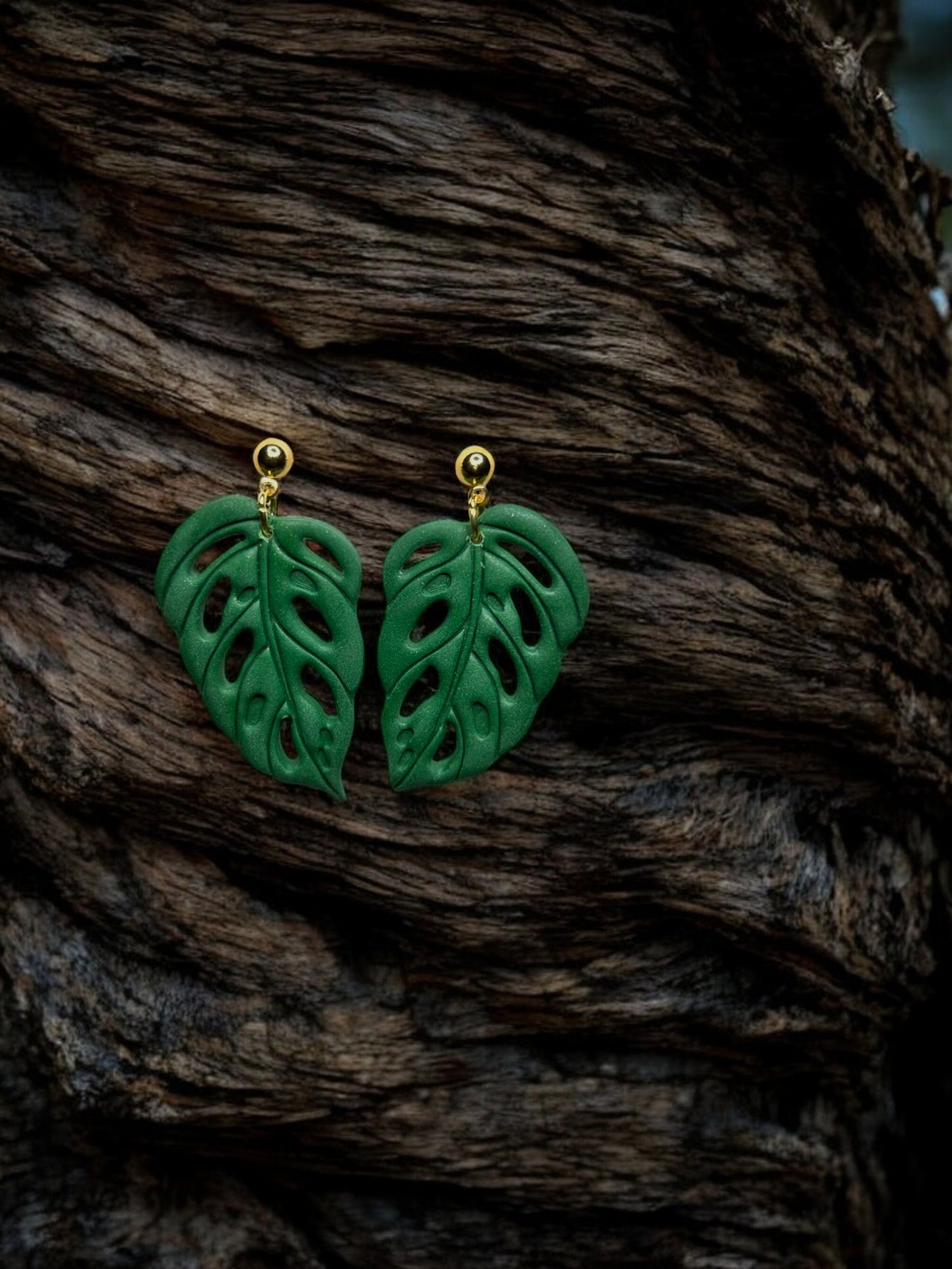 Monstera Dangles