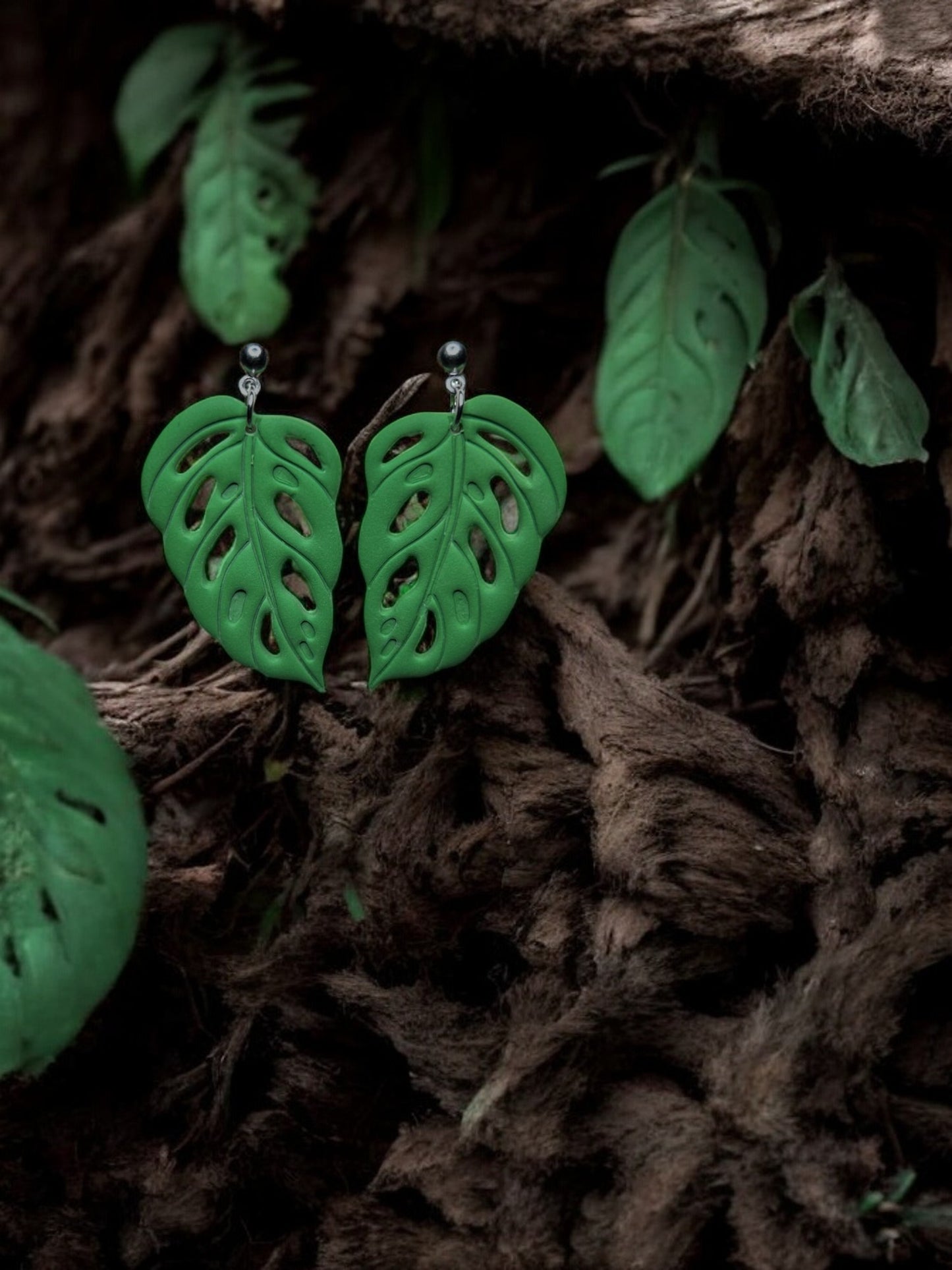 Monstera Dangles